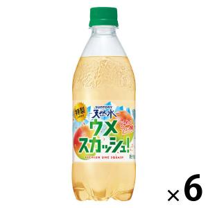 サントリーフーズ サントリー天然水 特製ウメスカッシュ 500ml 1セット（6本）