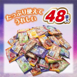 HERSバスラボ W保湿 お楽しみパック 48...の詳細画像3