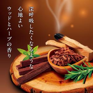 入浴剤 炭酸 温泡 ウッドハーブセレクト 20...の詳細画像1