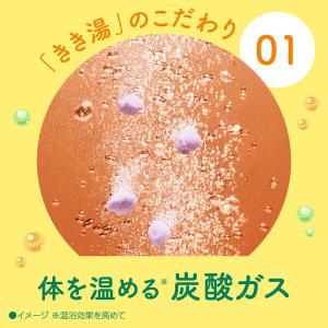 薬用 入浴剤 炭酸 きき湯 ナトリウム芒硝炭酸...の詳細画像3