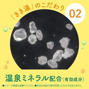 薬用 入浴剤 炭酸 きき湯 ナトリウム芒硝炭酸...の詳細画像4
