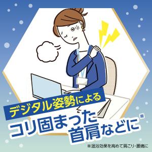 薬用 入浴剤 きき湯 ファインヒート デジケア...の詳細画像1