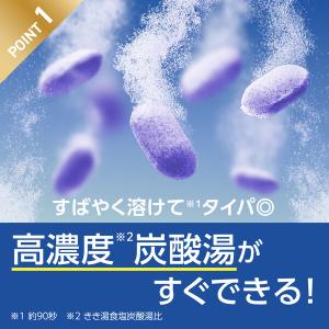 薬用 入浴剤 きき湯 ファインヒート デジケア...の詳細画像3