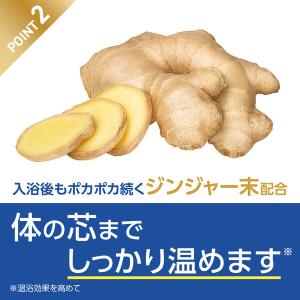 薬用 入浴剤 きき湯 ファインヒート デジケア...の詳細画像4