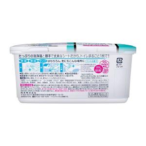 トイレクイックル ミントの香り 本体(10枚入...の詳細画像1