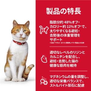 【ロハコサンプル】キャットフード サイエンスダ...の詳細画像2