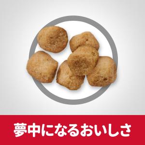 【ロハコサンプル】キャットフード サイエンスダ...の詳細画像3