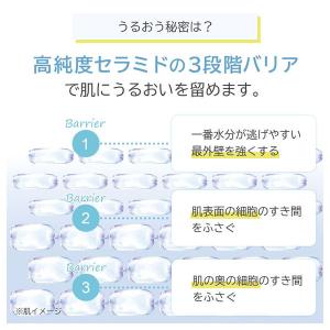 ORBIS オルビス ディフェンセラ マスカッ...の詳細画像4