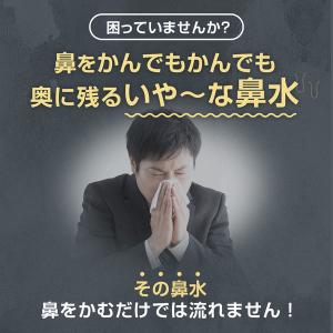 チクナイン 鼻洗浄器 専用 水で薄める濃縮原液...の詳細画像2