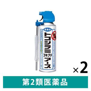 トコジラミ ゴキブリ アース 450ml 2本セット アース製薬 　殺虫剤 トコジラミ ナンキンムシ...