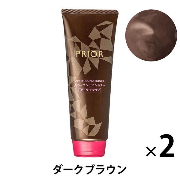 プリオール カラーコンディショナー N ダークブラウン 230g×2個 資生堂