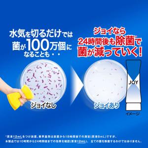 ジョイ JOY W除菌 食器用洗剤 さわやか微...の詳細画像4