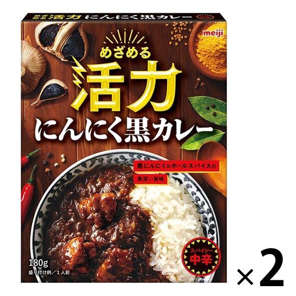 明治 めざめる活力 にんにく黒カレー 中辛 1人前・180g 1セット（2個） レトルトカレー