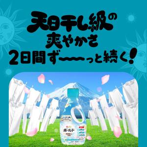 ボールド 柔軟剤入り 洗濯洗剤 爽やかおひさま...の詳細画像2