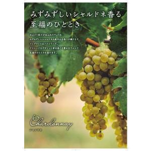シャルドネ モイストバスパウダー L 300g...の詳細画像3