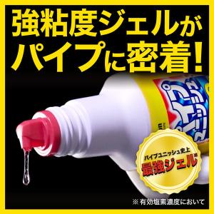 パイプユニッシュ プロ パイプクリーナー 濃縮...の詳細画像5