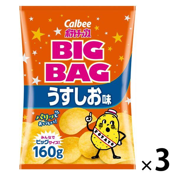 ポテトチップス スナック菓子 おつまみ  カルビー ビッグバッグ うすしお味 160g 1セット（1...