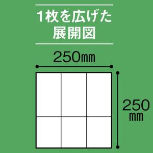 イデシギョー 植林木6つ折り 紙ナプキン 未晒...の詳細画像1