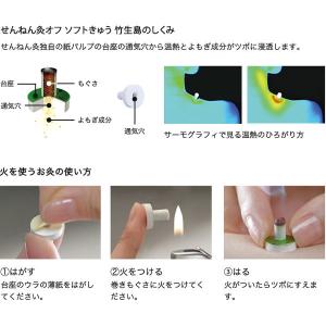 せんねん灸オフ 竹生島 1箱(340点入) せ...の詳細画像1