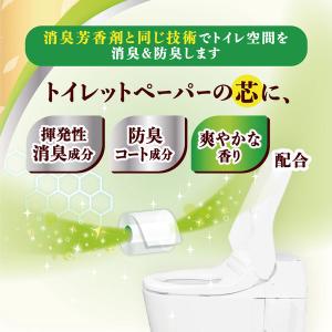 トイレットペーパー 8ロール入パルプ ダブル3...の詳細画像1