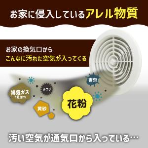 フィルたん アレルブロックフィルター 花粉・P...の詳細画像2