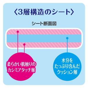 デオクリーン からだふきシート 小型犬・猫用 ...の詳細画像3