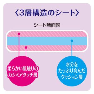 デオクリーン からだふきシート 小型犬・猫用 ...の詳細画像3