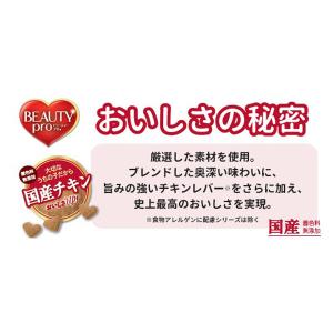 ビューティープロドッグ 食物アレルゲンに配慮 ...の詳細画像5