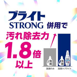 洗濯漂白剤 ブライトSTRONG(ストロング)...の詳細画像3
