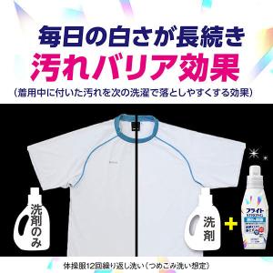 洗濯漂白剤 ブライトSTRONG(ストロング)...の詳細画像5