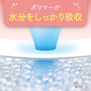 【吸水ナプキン】ポイズ 20cc 19cm 羽...の詳細画像4