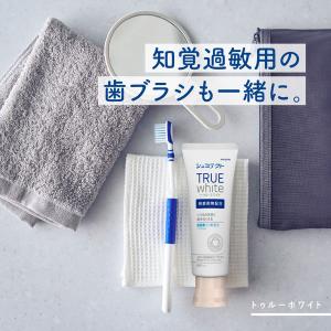 歯磨き粉 フッ素 シュミテクト トゥルーホワイ...の詳細画像5
