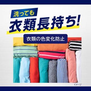 ナノックス ワン(NANOX one)ニオイ専...の詳細画像5