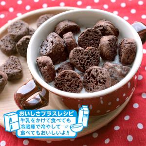 リスカ しっとりチョコ 80g 1セット(3袋)の詳細画像4