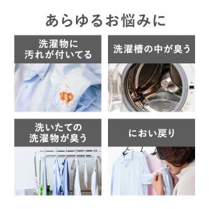 【アスクル限定】洗濯槽クリーナー 550g 1...の詳細画像2