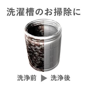 【アスクル限定】洗濯槽クリーナー 550g 1...の詳細画像3