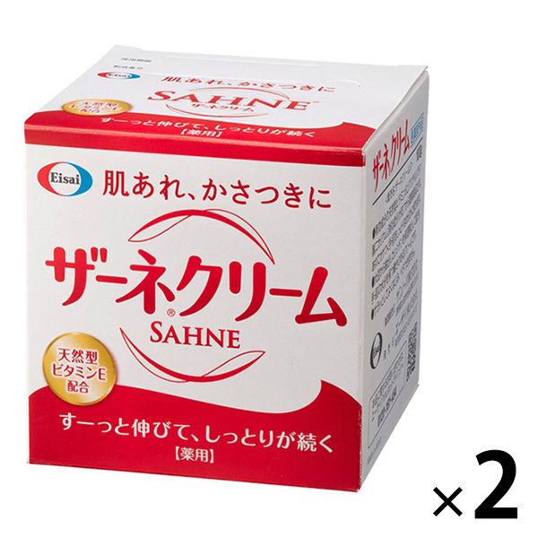 ザーネクリーム ハンドクリーム ジャータイプ 100g 2個 エーザイ