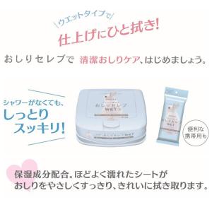 【大人用/流せる】おしりセレブWET 詰替え用...の詳細画像1