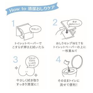 【大人用/流せる】おしりセレブWET 詰替え用...の詳細画像5