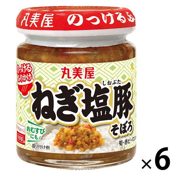 丸美屋 のっけるふりかけ ねぎ塩豚そぼろ 瓶入 100g 1セット（6個）