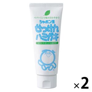 歯磨き粉 せっけんハミガキ 140g 1セット（2本）シャボン玉石けん