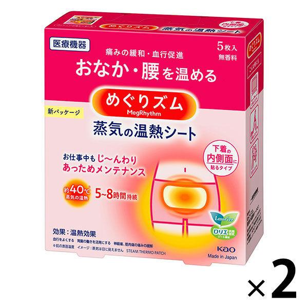 めぐりズム蒸気の温熱シート下着の内側面に貼る　1セット（5枚入×2箱）　花王