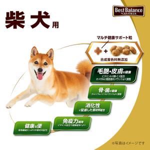 ベストバランス カリカリ仕立て 成犬 柴犬用 ...の詳細画像2