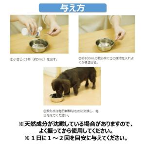 エブリデント 犬猫用 歯みがきウォーター 国産...の詳細画像5