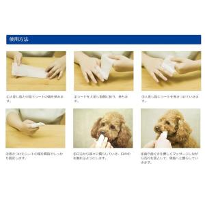 シートde歯みがき エブリデント 犬猫用 ミル...の詳細画像3