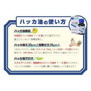 ハッカ油P 20mL 2本 アロマ お風呂 虫...の詳細画像2