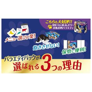 フィリックス 猫 やわらかグリル 成猫用 お魚...の詳細画像4