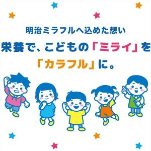 明治ミラフル 粉末飲料 ストロベリー風味 1袋 明治の詳細画像5