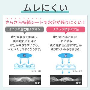 ナチュラ 吸水ケア・おりものシート コットン1...の詳細画像4