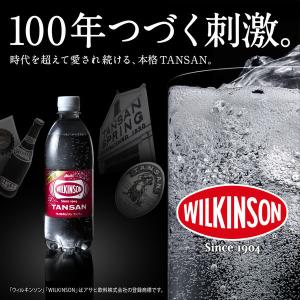 アサヒ飲料 ウィルキンソン タンサン レモン ...の詳細画像2